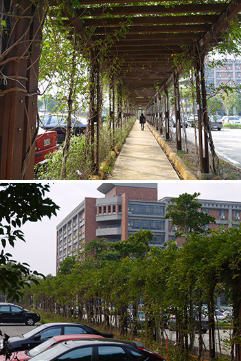 向陽步道圖片