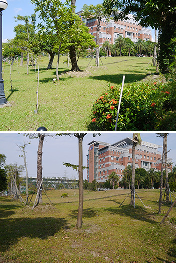 陽光公園圖片